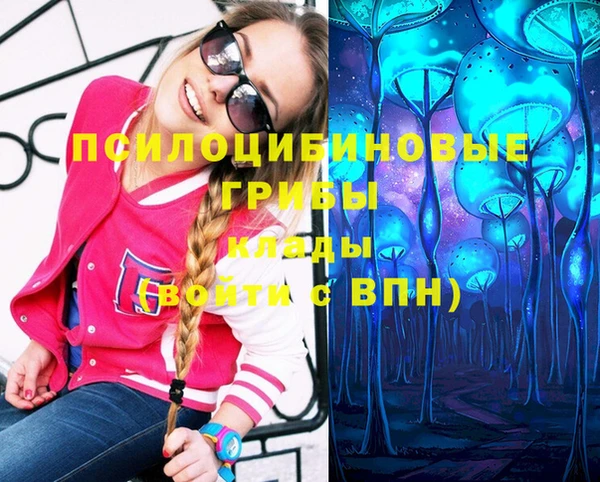 не бодяженный Медногорск