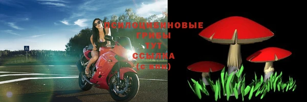 спиды Новый Уренгой