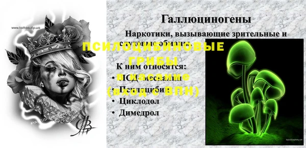 спиды Новый Уренгой