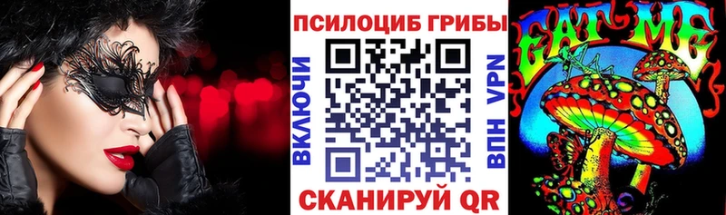 Галлюциногенные грибы Psilocybine cubensis  дарнет шоп  Опочка 