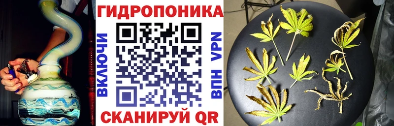 Бошки марихуана гибрид  Опочка 
